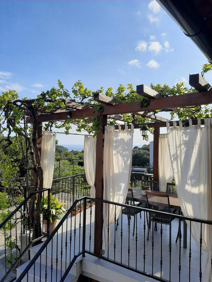 Casa Nonna Tereza Apartment Premantura Exterior photo